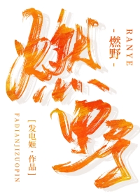 燃野少年的天空在线免费免费完整